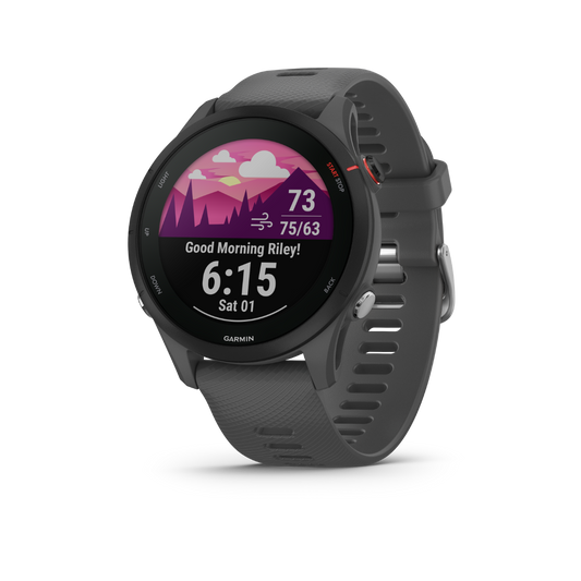 Garmin Forerunner 255, Slate Gray, Premium Fitness GPS Smartwatch for Runners (010-02641-00)