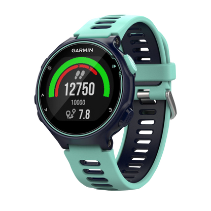 Garmin Forerunner 735XT Midnight Frost & Frost Blue (010-01614-01)