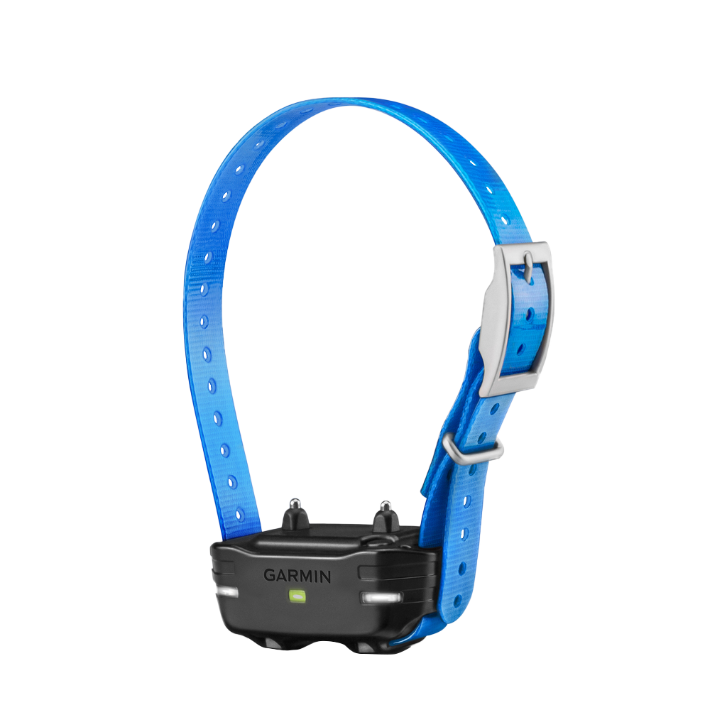 Dispositivo para perros Garmin PT 10 (correa de collar azul)