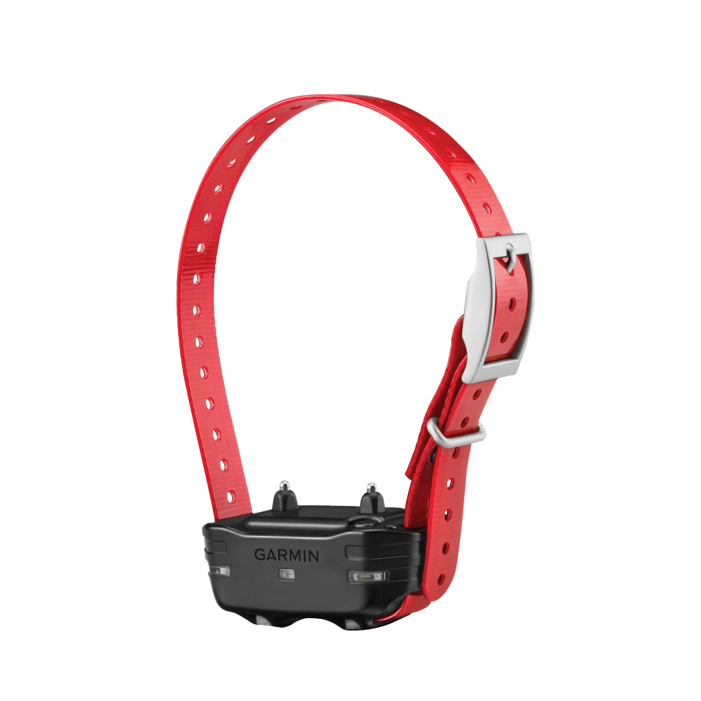 Dispositivo para perros Garmin PT 10 (correa de collar roja)