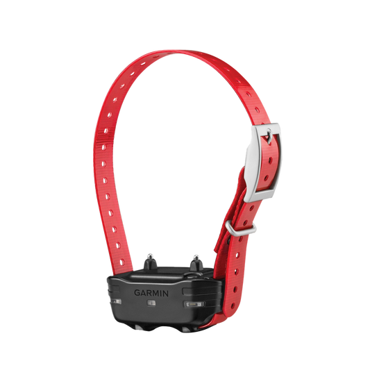 Dispositivo para perros Garmin PT 10 (correa de collar roja)