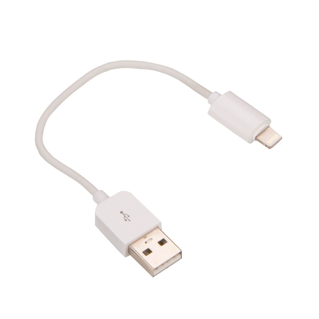 Cable adaptador USB tipo A de Garmin a Lightning de Apple