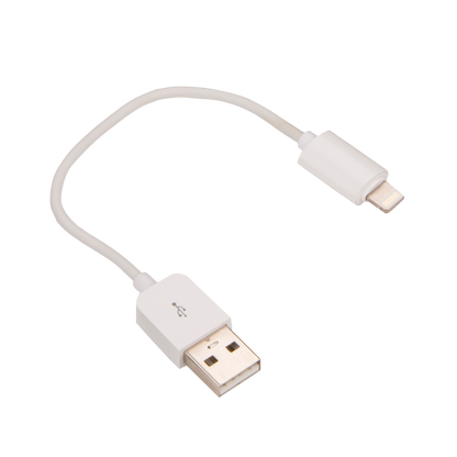 Cable adaptador USB tipo A de Garmin a Lightning de Apple