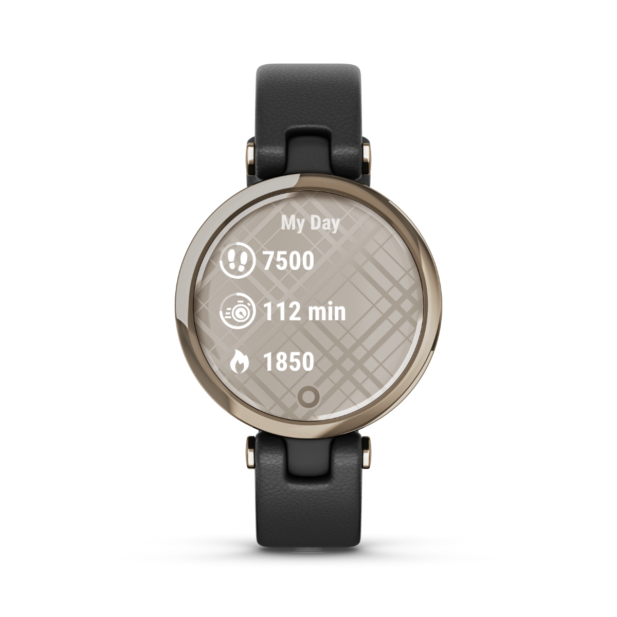 Garmin Lily - Edición clásica con bisel dorado crema, caja negra y correa de cuero italiano 