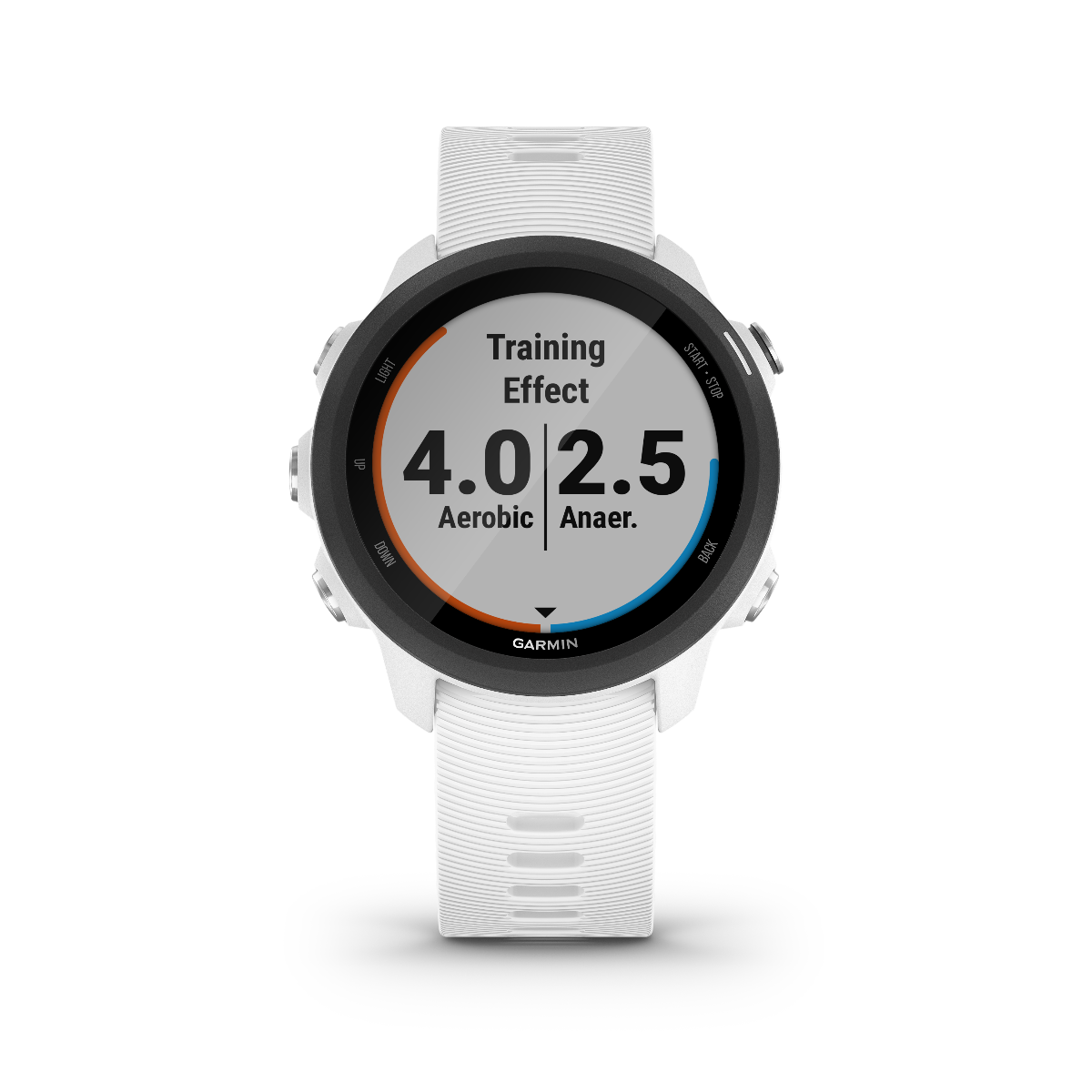 Garmin Forerunner 245 Music, reloj inteligente con GPS y pantalla táctil de alta calidad para corredores (010-02120-21)