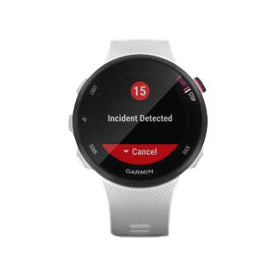 Garmin Forerunner 45S - Blanco 