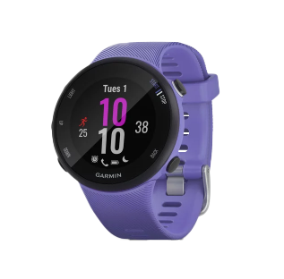 Garmin Forerunner 45S - Iris 