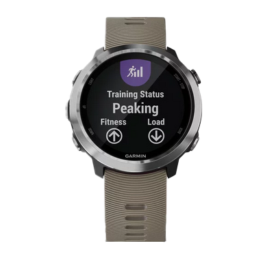 Garmin Forerunner 645 - Piedra arenisca (010-01863-01)