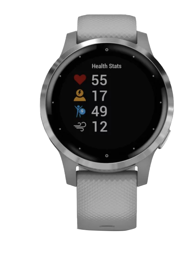 Garmin Vivoactive 4S - Plata con correa gris (010-02172-01)