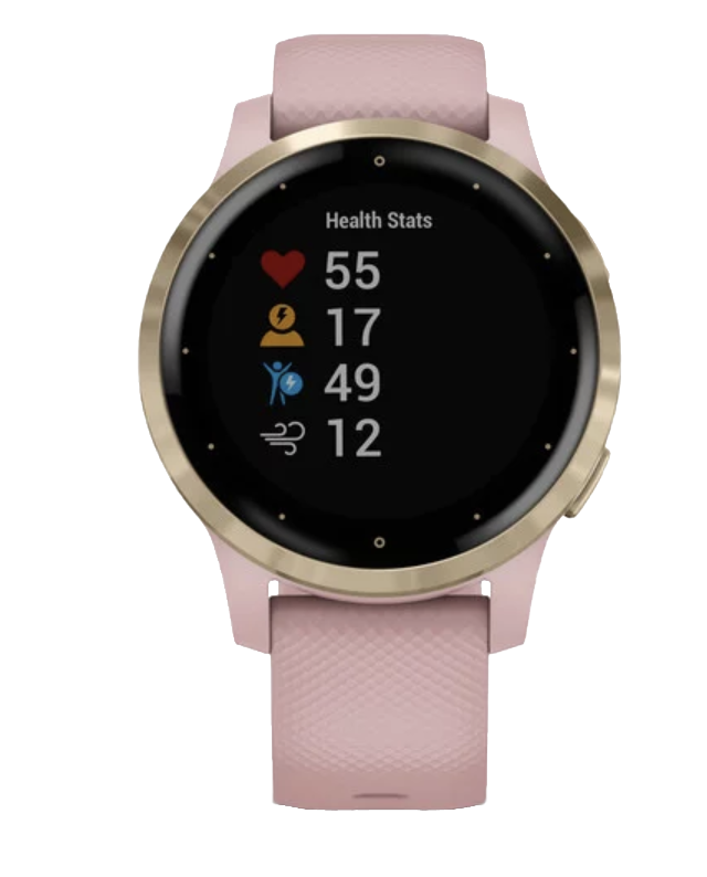 Garmin Vivoactive 4S - Correa en dorado claro con rosa empolvado (010-02172-31)