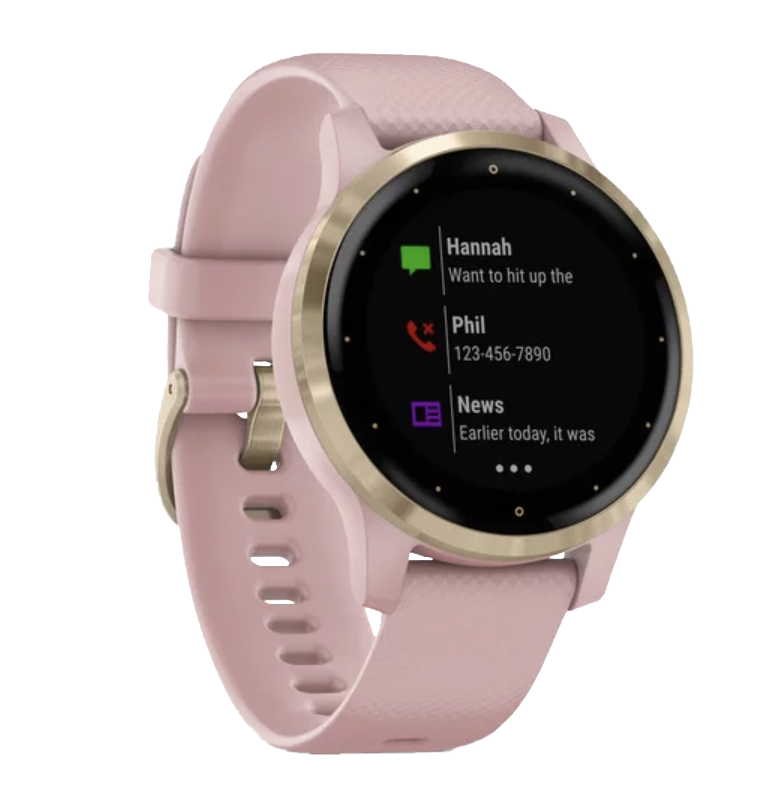 Garmin Vivoactive 4S - Correa en dorado claro con rosa empolvado (010-02172-31)