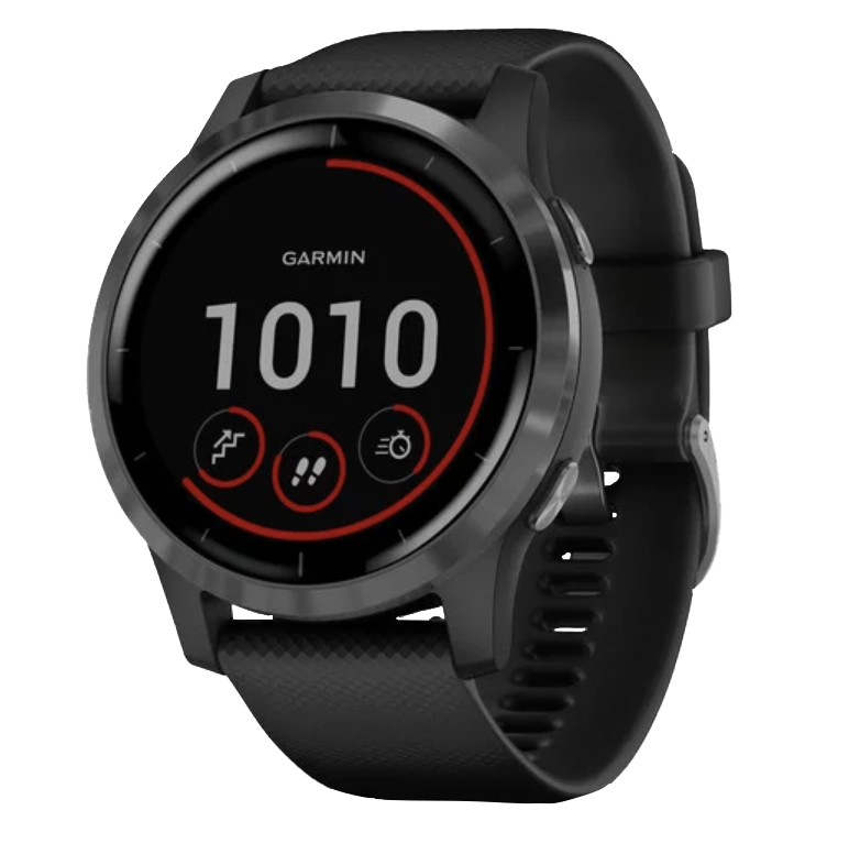 Garmin Vivoactive 4 - Pizarra con correa negra (010-02174-11)