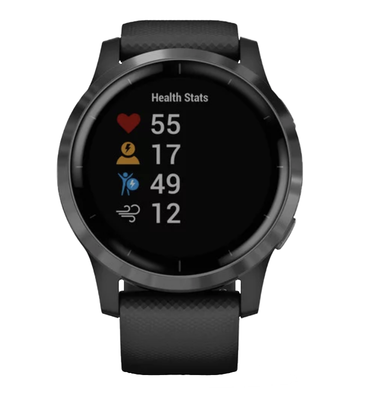 Garmin Vivoactive 4 - Pizarra con correa negra (010-02174-11)