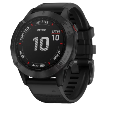 Garmin Fenix ​​6 Pro Negro con Correa Negra (010-02158-01)